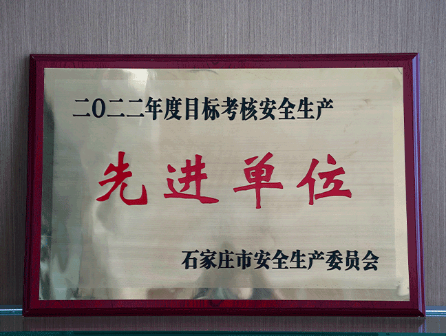 2022年度目标考核安全生产先进单位-市安全生产委员会.png